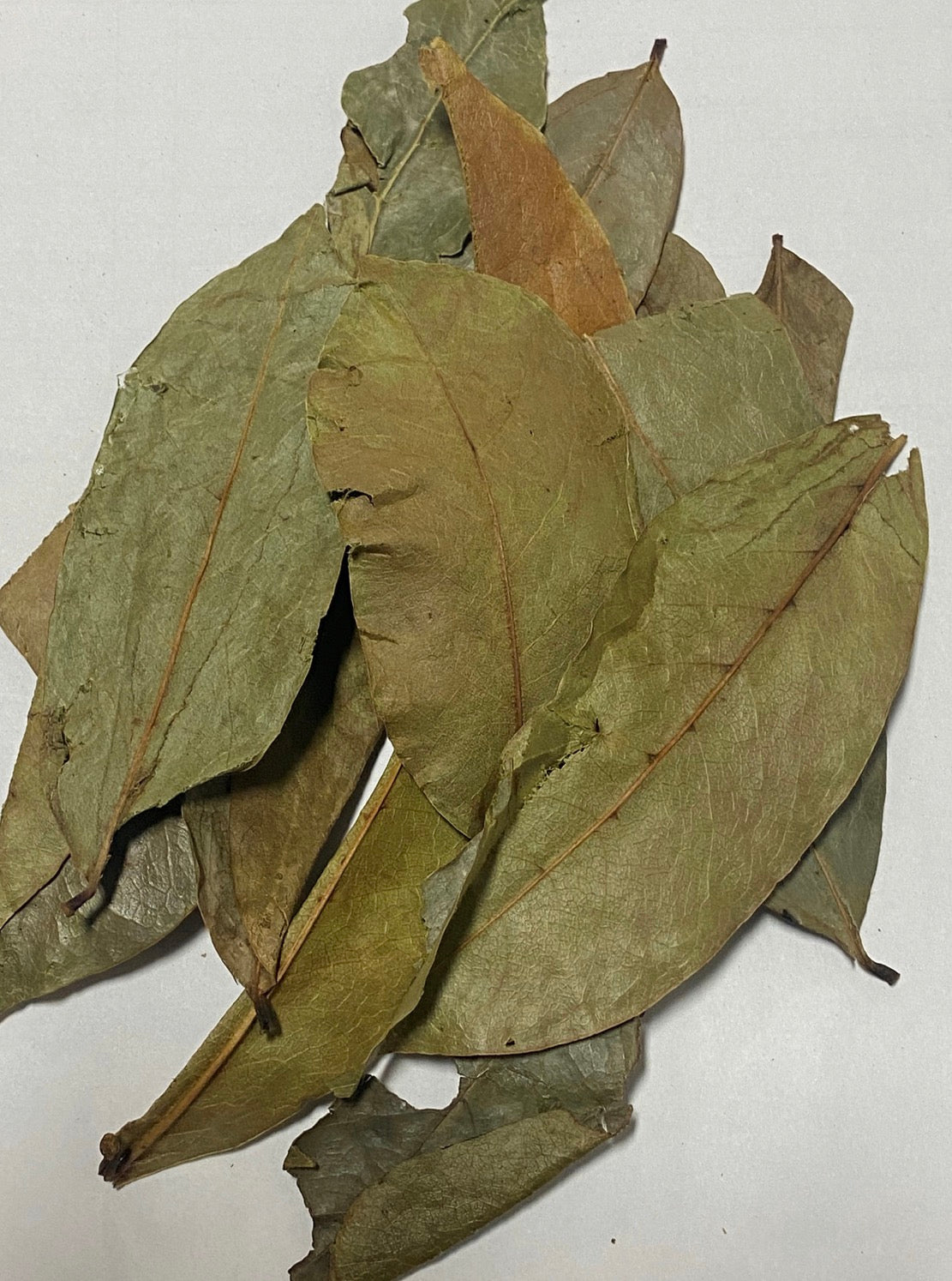 1 lb Organic Soursop Leaves