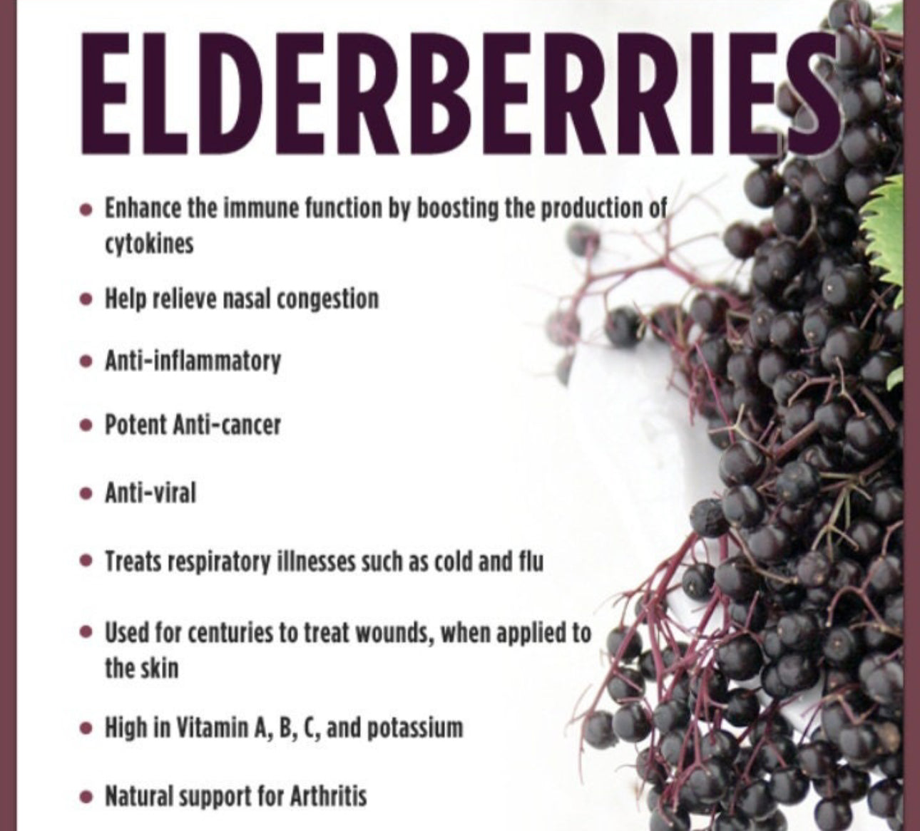 Best Alkaline Elderberry Syrup Online Period- Dr Sebi approved