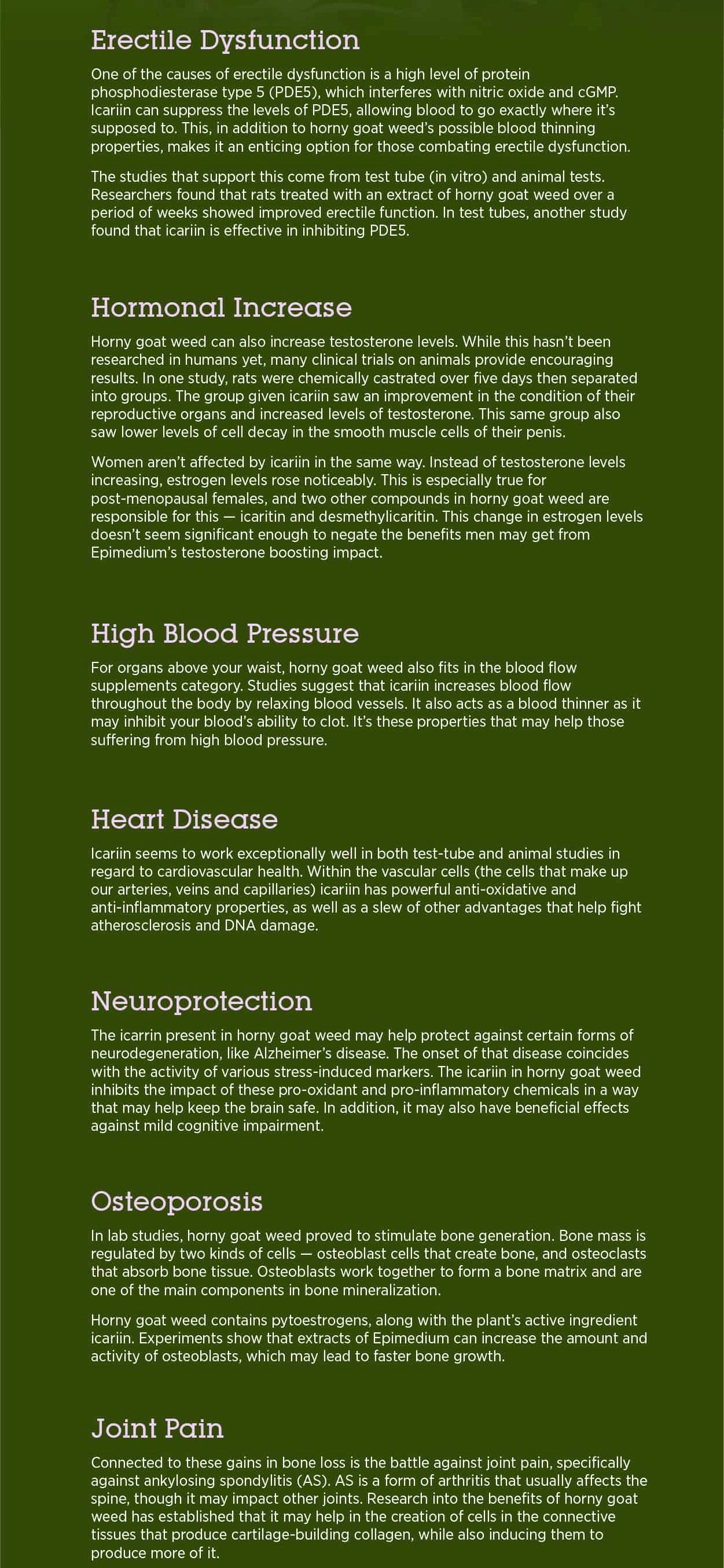 Bulk Organic Horny Goat Weed Powder