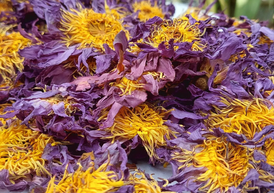 Blue Lotus flower whole- (remove stagnant energy, renewal, intuition, happiness, lucid dreams & all natural