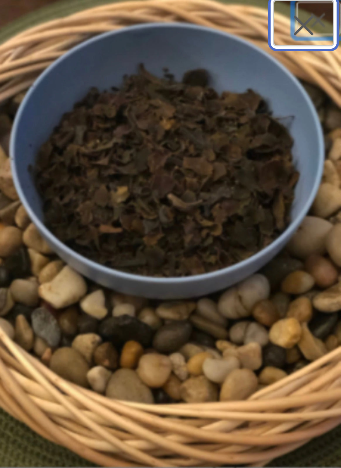 Bulk- Organic Bladderwrack