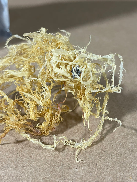 $25 Sea Moss from the rocks- Gold- Dr Sebi approved