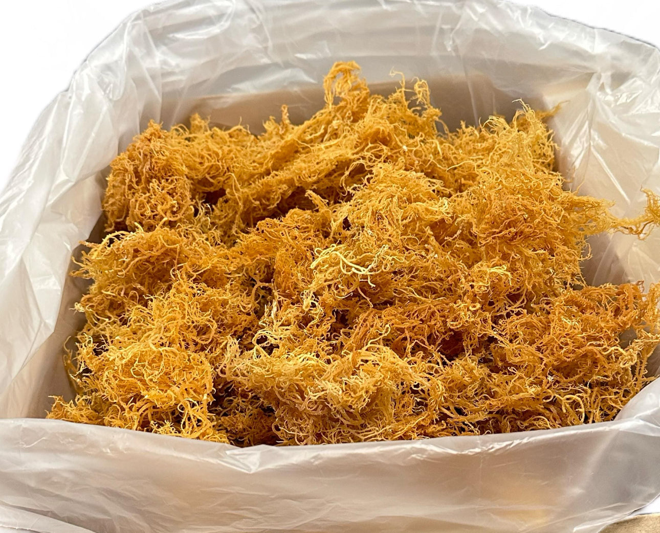 $16 lb Sea Moss from the pristine waters of St. Lucia- wildcrafted